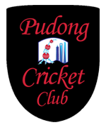 Pudong-Power-Logo1